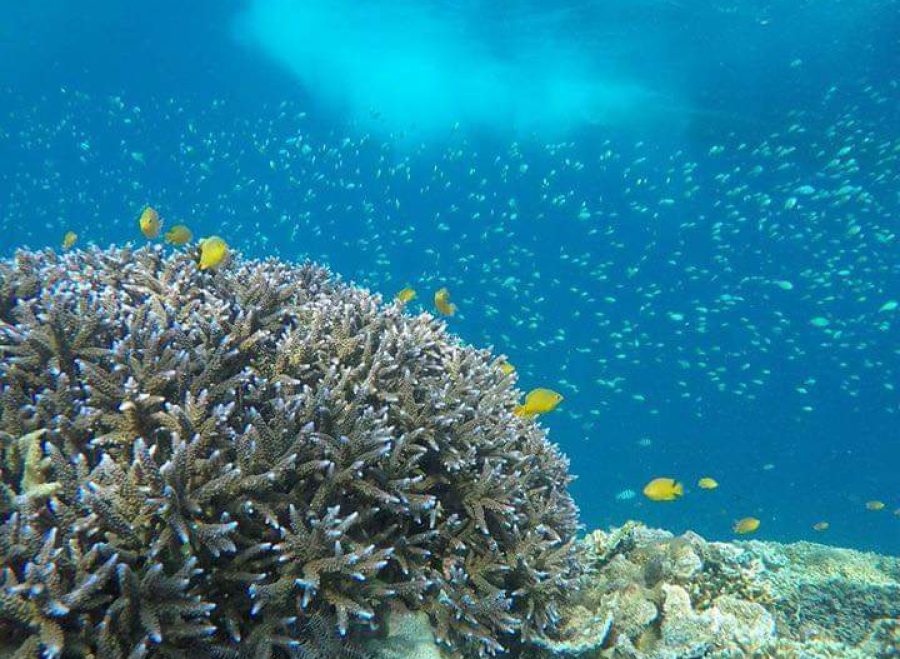 FB_IMG_1728655957806