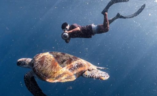 FB_IMG_1741904737540