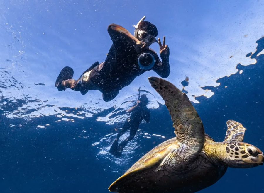 FB_IMG_1741904744598