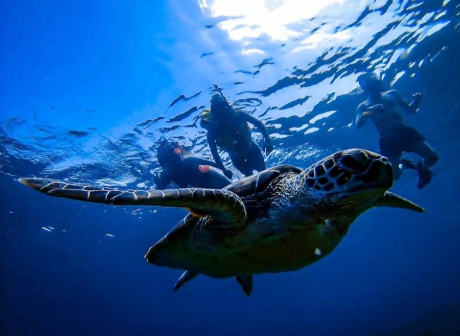 Screenshot_20230504_195642_Maps