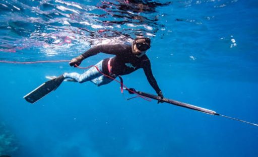 Screenshot_20250401_120904_Google