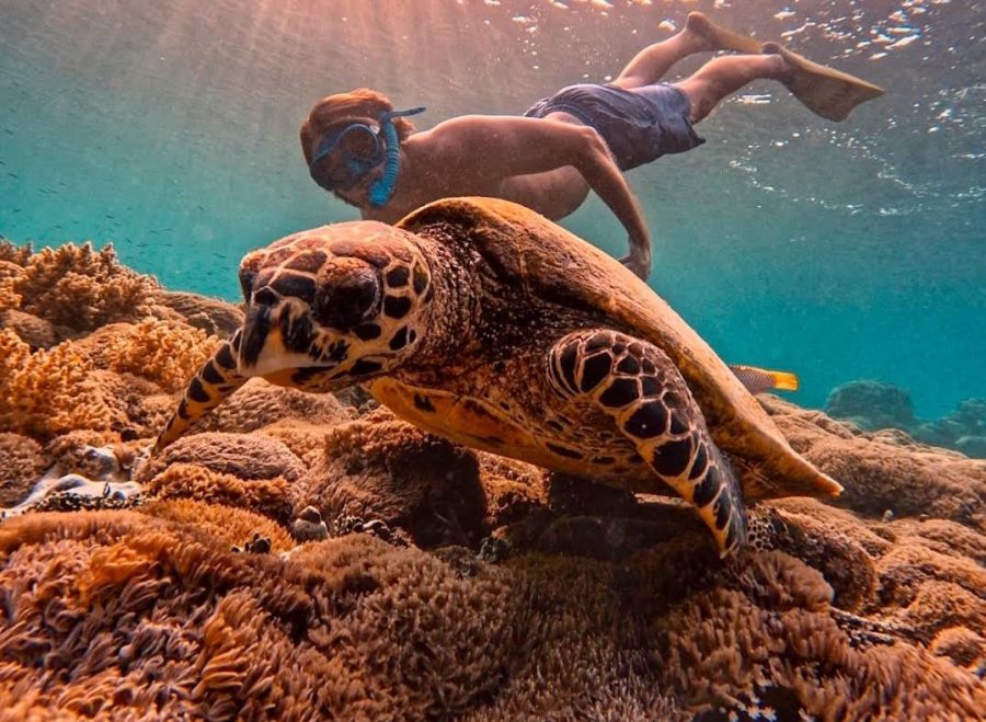 Screenshot_20250410_140017_Maps