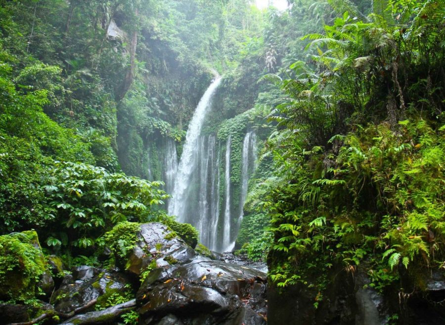 north-lombok-sendang-gile-waterfall-senaru-village-tour-1697598