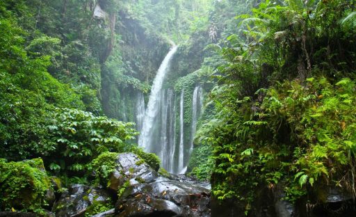 north-lombok-sendang-gile-waterfall-senaru-village-tour-1697598