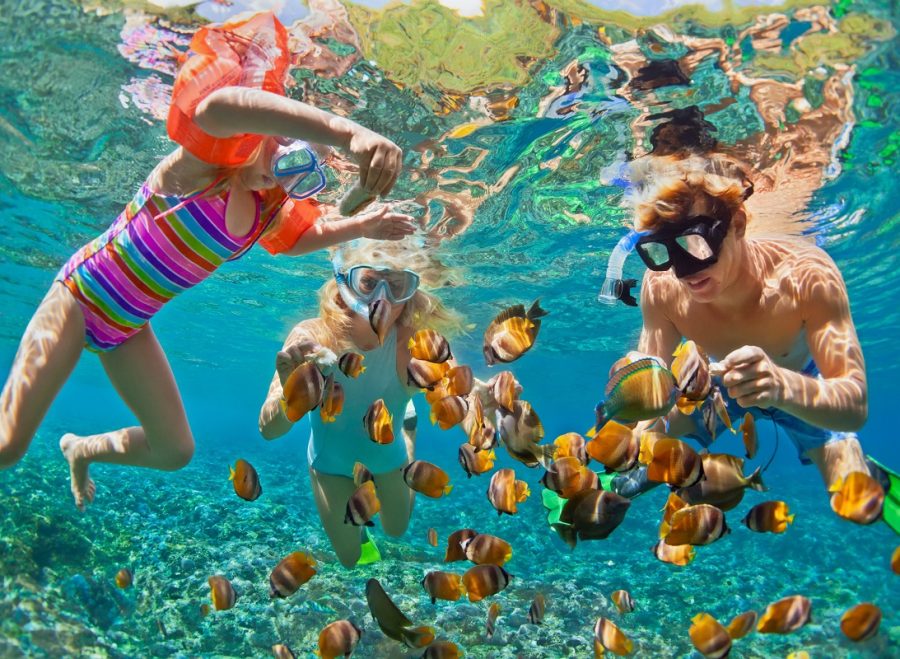 Happy,Family,-,Father,,Mother,,Child,In,Snorkeling,Mask,Dive