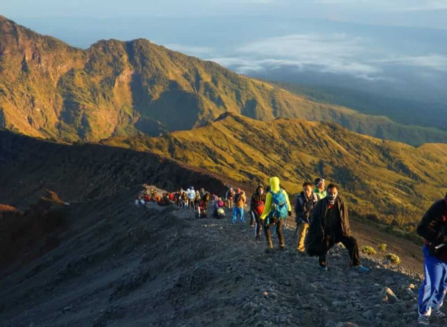 treks-summit